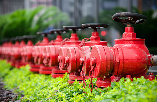 北京德闲教育科技有限公司