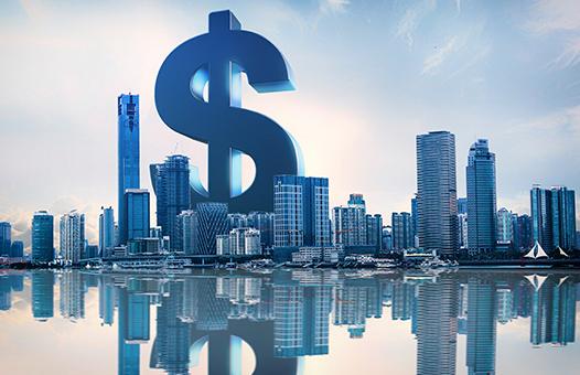 北京中廉会计师事务所