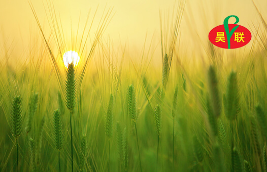 北京昊联海成农业有限公司 