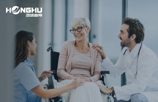 北京鴻鵠高翔科技開發有限公司